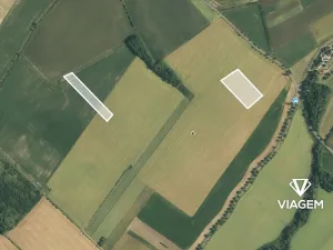 Prodej podílu lesa, Radkova Lhota, 2383 m2