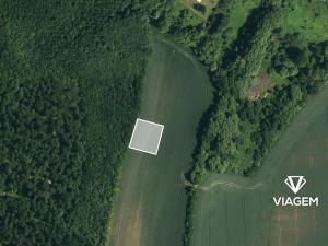 Prodej pole, Kyjov, 1596 m2