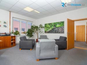 Pronájem kanceláře, Frýdek-Místek, Svazarmovská, 260 m2