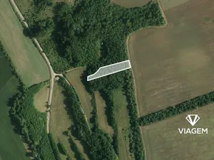 Prodej lesa, Medlov, 1873 m2