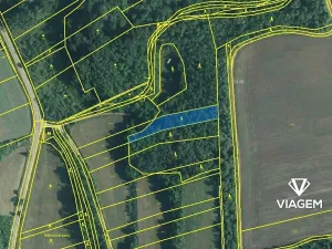 Prodej lesa, Medlov, 1873 m2