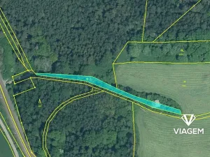 Prodej lesa, Svojšín, 2777 m2