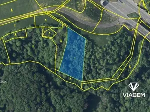 Prodej podílu lesa, Prackovice nad Labem, 2074 m2
