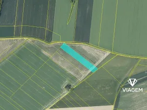 Prodej podílu pole, Dolní Životice, 1083 m2
