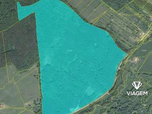 Prodej podílu lesa, Bánov, 76909 m2