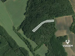 Prodej lesa, Moravské Bránice, 4068 m2