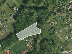 Prodej lesa, Orlová, 4764 m2