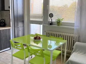 Pronájem bytu 1+1, Brno, Horácké náměstí, 49 m2