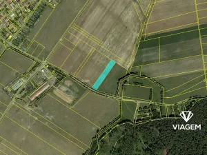 Prodej podílu pole, Němčice, 1425 m2