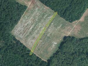 Prodej pole, Silůvky, 21545 m2