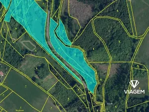 Prodej podílu lesa, Stružinec, 4567 m2