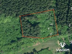 Prodej podílu lesa, Vsetín, 349 m2