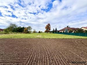Prodej pozemku pro bydlení, Tatce, Na Stachově, 800 m2