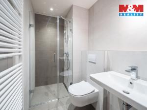 Pronájem bytu 1+kk, Praha - Holešovice, U průhonu, 35 m2