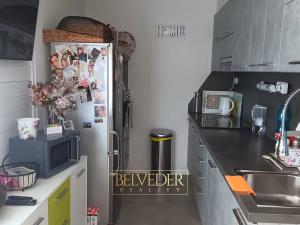 Pronájem bytu 3+kk, Teplice, Emilie Dvořákové, 95 m2