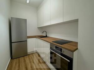 Pronájem bytu 1+kk, Brno, Komárovská, 50 m2