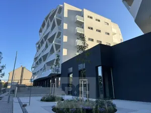 Pronájem bytu 1+kk, Brno, Komárovská, 50 m2