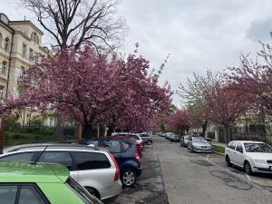 Pronájem bytu 2+kk, Praha - Vinohrady, Dykova, 55 m2