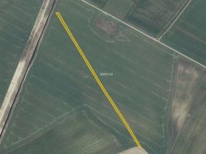 Prodej pole, Mutěnice, 5978 m2