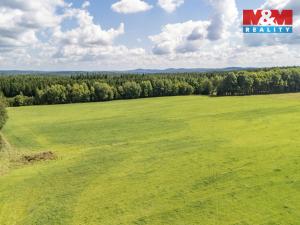 Prodej pole, Přimda - Mlýnec, 238031 m2