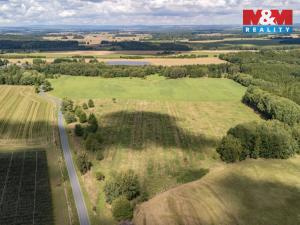 Prodej pole, Přimda - Mlýnec, 238031 m2