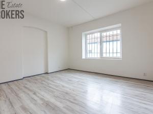 Pronájem bytu 1+kk, Ústí nad Labem - Krásné Březno, Družstevní, 36 m2