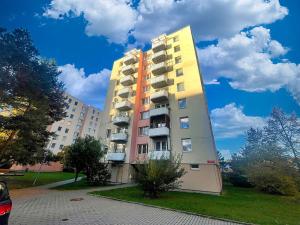 Pronájem bytu 1+kk, České Budějovice - České Budějovice 2, K. Chocholy, 30 m2