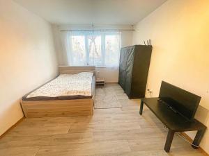 Pronájem bytu 1+kk, České Budějovice - České Budějovice 2, K. Chocholy, 30 m2