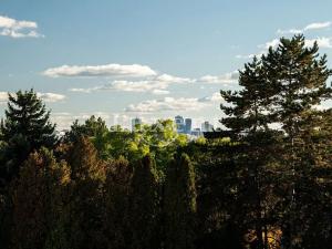 Prodej bytu 3+kk, Praha - Holešovice, Letohradská, 126 m2