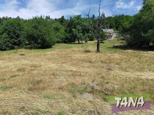 Prodej pozemku pro bydlení, Koberovy, 9985 m2