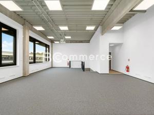 Pronájem skladu, Brno, Vinohradská, 446 m2