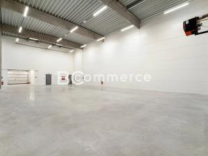 Pronájem skladu, Brno, Vinohradská, 446 m2