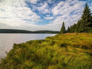 Prodej bytu 2+kk, Bedřichov, 70 m2