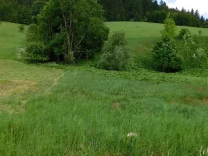 Dražba louky, Velké Karlovice, 14772 m2