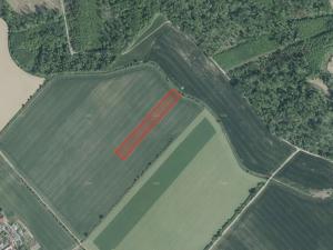 Prodej pole, Střížovice, 29324 m2