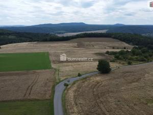 Prodej pozemku, Sýkořice, 3943 m2