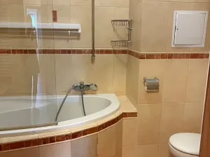 Pronájem bytu 3+kk, Praha - Záběhlice, Mattioliho, 110 m2