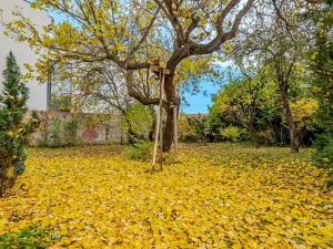 Prodej rodinného domu, Pečky, Bačovská, 92 m2