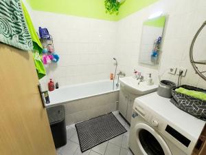 Pronájem bytu 1+kk, Ústí nad Labem, Baráčnická, 33 m2