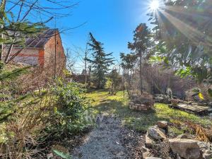 Pronájem rodinného domu, Velim, Palackého, 270 m2