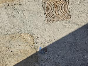 Prodej pozemku, Měnín, 277 m2