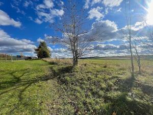 Prodej rodinného domu, Vinaře, 88 m2