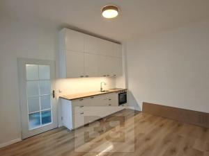 Pronájem bytu 1+kk, Praha - Podolí, U Kublova, 25 m2