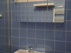 Pronájem bytu 1+kk, Praha - Podolí, U Kublova, 25 m2