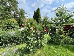 Prodej chaty, Mirošovice, Pod Jiřím, 60 m2