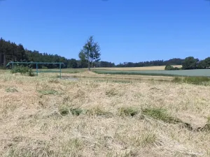 Dražba louky, Přeštěnice, 3046 m2