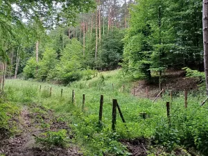 Dražba pozemku, Blatce, 2275 m2