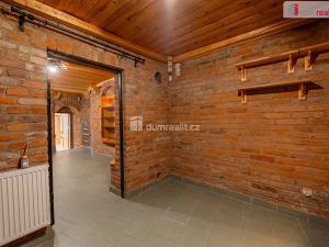 Prodej obchodního prostoru, Mladá Boleslav, Viničná, 107 m2