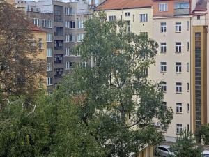 Prodej bytu 2+kk, Praha - Vinohrady, Libická, 57 m2