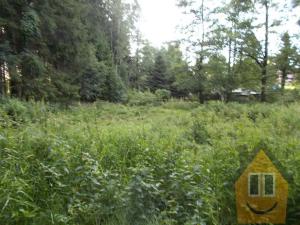 Prodej louky, Velký Šenov, 3266 m2